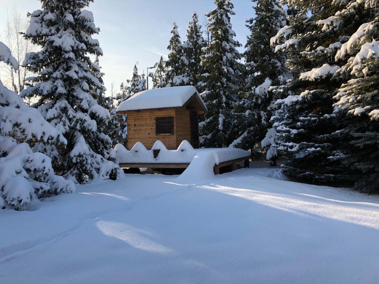 Holiday Home Vila Tejic Златибор Экстерьер фото