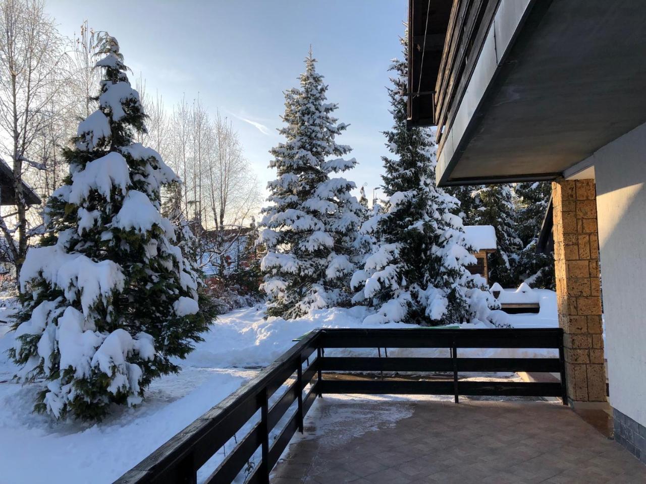 Holiday Home Vila Tejic Златибор Экстерьер фото