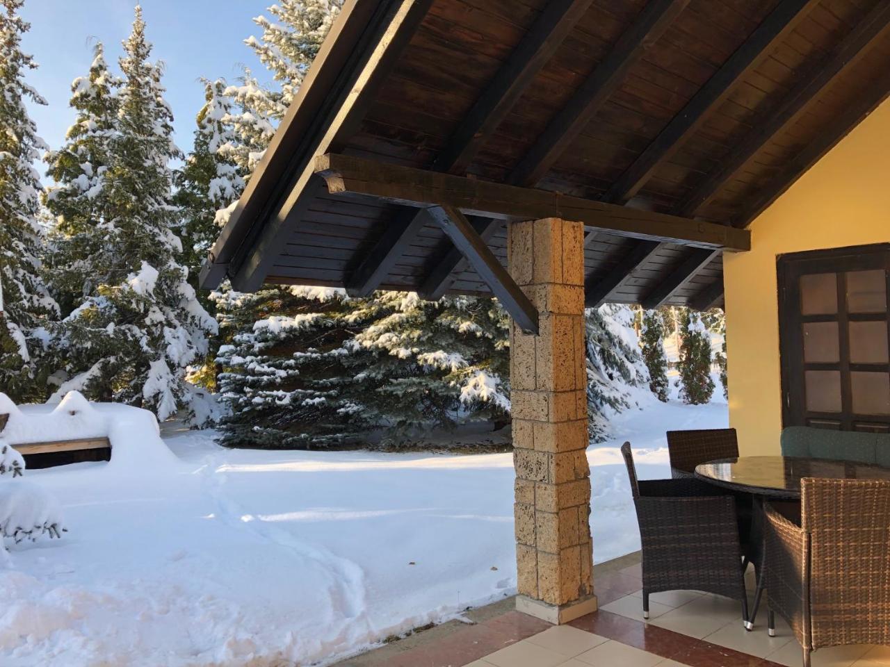 Holiday Home Vila Tejic Златибор Экстерьер фото